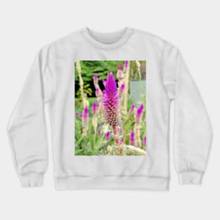 Honolulu Zoo Spires Crewneck Sweatshirt